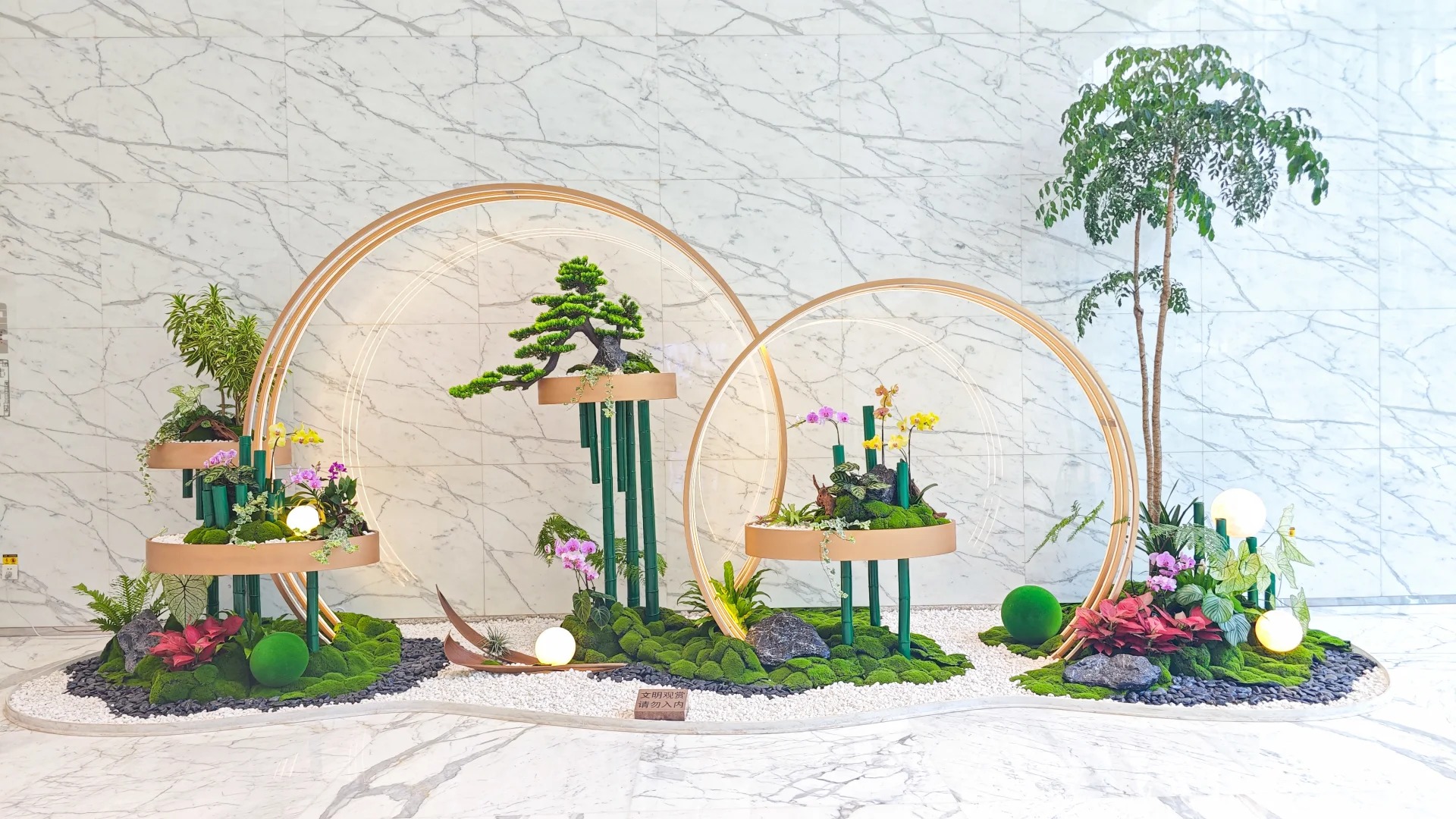 专业海曙花木出租,为您装点别样空间